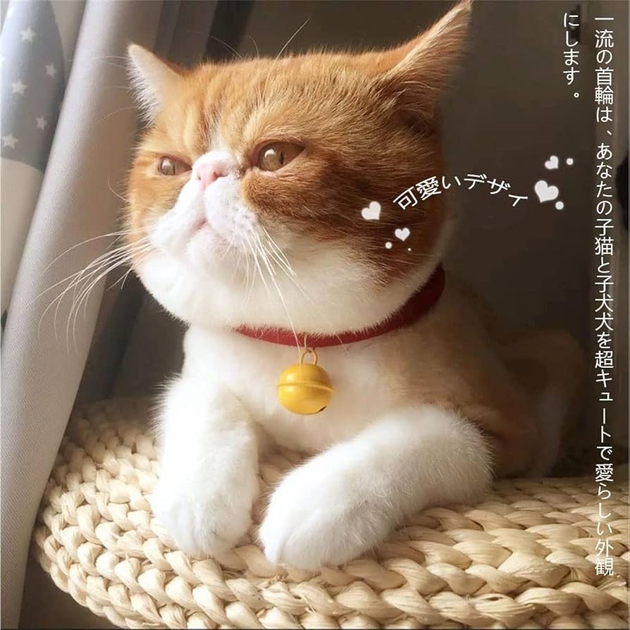 Amazon.co.jp: 首輪 猫 鈴付き 猫用首輪 ペット 2個入 首輪 猫